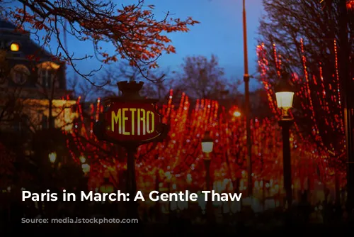 Paris in March: A Gentle Thaw