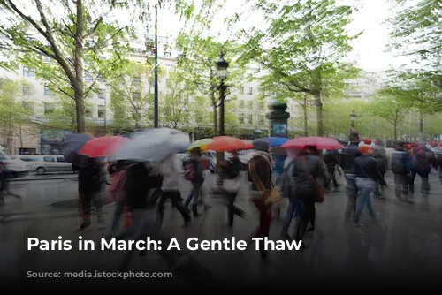 Paris in March: A Gentle Thaw