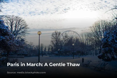 Paris in March: A Gentle Thaw