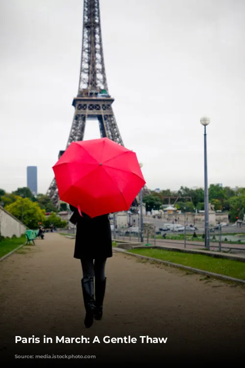 Paris in March: A Gentle Thaw