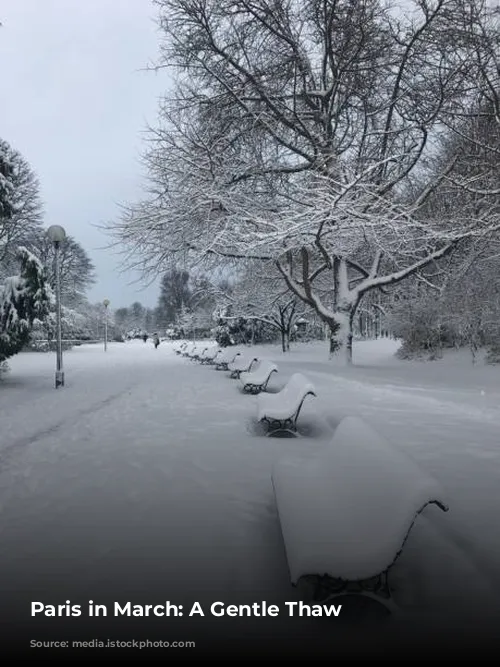 Paris in March: A Gentle Thaw