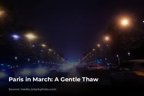 Paris in March: A Gentle Thaw