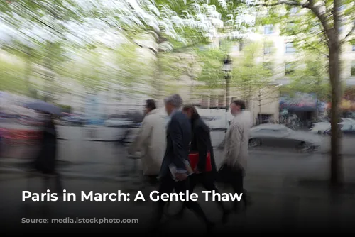 Paris in March: A Gentle Thaw