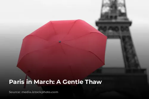 Paris in March: A Gentle Thaw