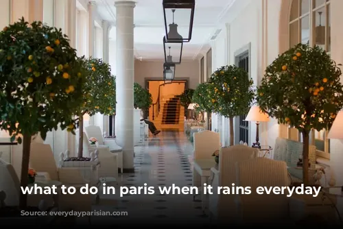 what to do in paris when it rains everyday parisian