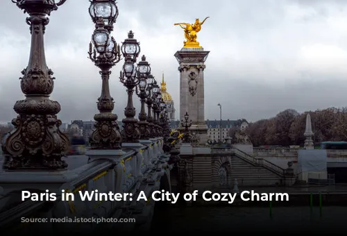 Paris in Winter: A City of Cozy Charm