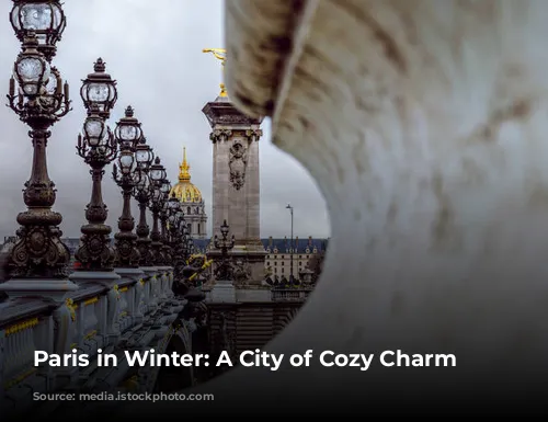 Paris in Winter: A City of Cozy Charm