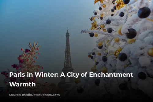 Paris in Winter: A City of Enchantment and Warmth