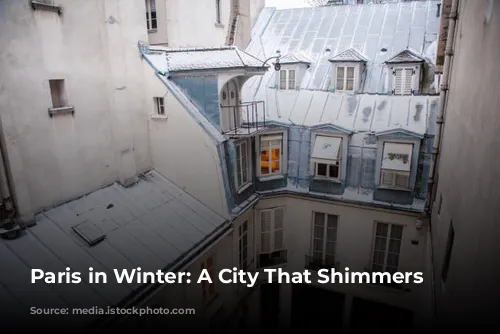 Paris in Winter: A City That Shimmers