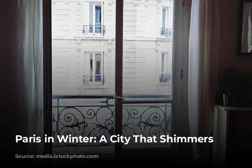 Paris in Winter: A City That Shimmers