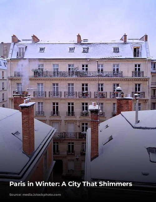 Paris in Winter: A City That Shimmers