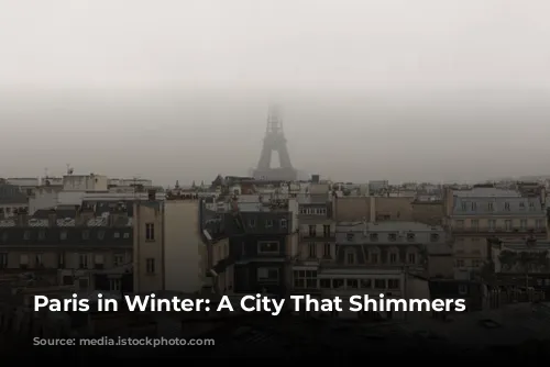 Paris in Winter: A City That Shimmers