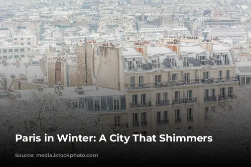 Paris in Winter: A City That Shimmers