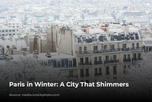 Paris in Winter: A City That Shimmers