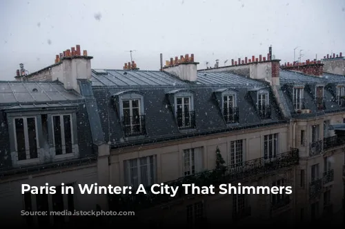 Paris in Winter: A City That Shimmers