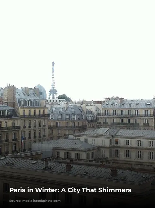 Paris in Winter: A City That Shimmers