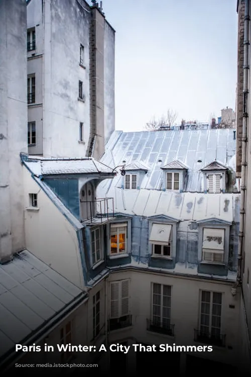 Paris in Winter: A City That Shimmers