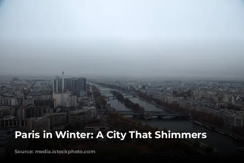 Paris in Winter: A City That Shimmers