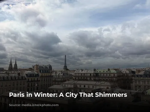 Paris in Winter: A City That Shimmers