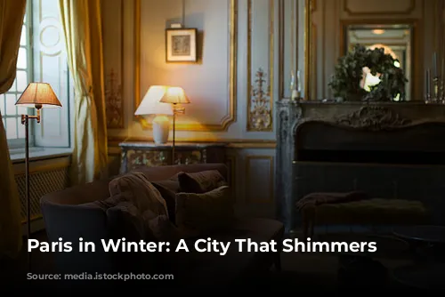 Paris in Winter: A City That Shimmers