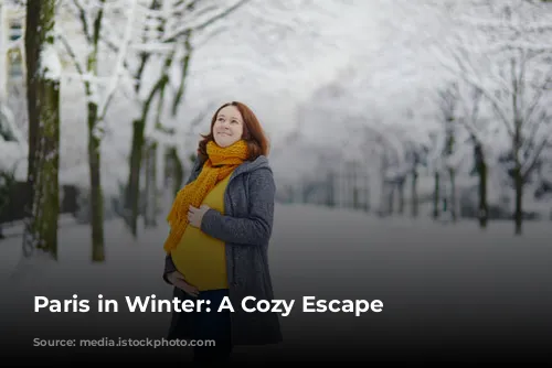 Paris in Winter: A Cozy Escape