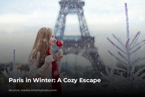 Paris in Winter: A Cozy Escape