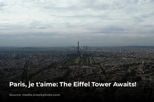 Paris, je t'aime: The Eiffel Tower Awaits!