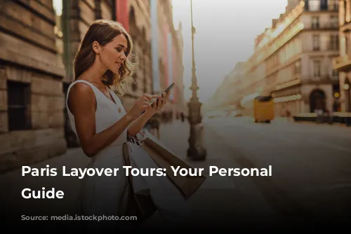 Paris Layover Tours: Your Personal Driver's Guide