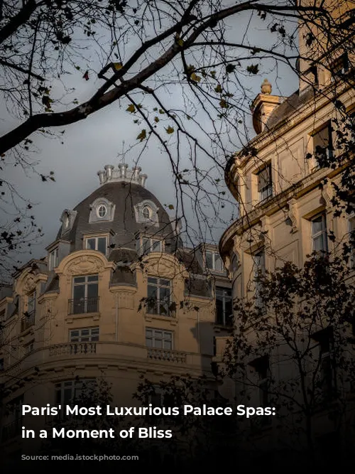 Paris' Most Luxurious Palace Spas: Indulge in a Moment of Bliss