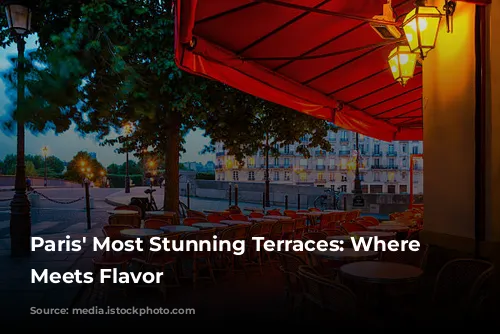 Paris' Most Stunning Terraces: Where Chic Meets Flavor