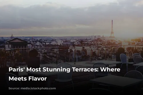 Paris' Most Stunning Terraces: Where Chic Meets Flavor