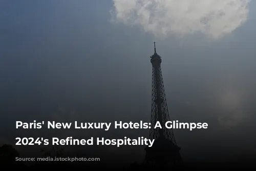 Paris' New Luxury Hotels: A Glimpse into 2024's Refined Hospitality