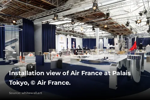 Installation view of Air France at Palais de Tokyo, © Air France.