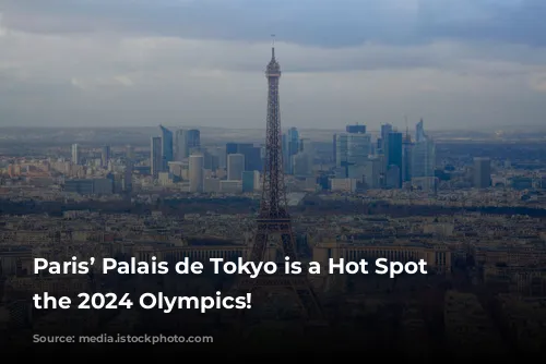 Paris’ Palais de Tokyo is a Hot Spot for the 2024 Olympics!