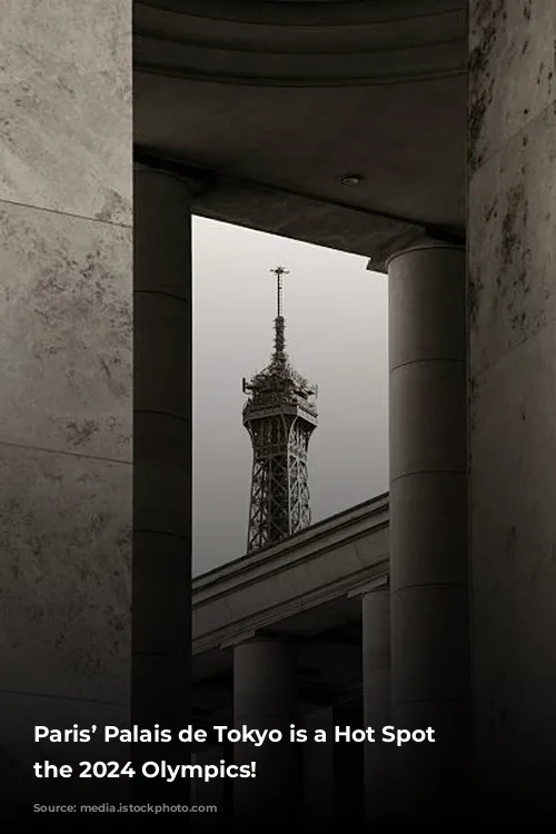 Paris’ Palais de Tokyo is a Hot Spot for the 2024 Olympics!