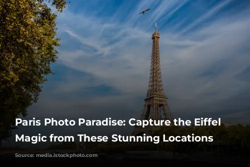 Paris Photo Paradise: Capture the Eiffel Tower's Magic from These Stunning Locations