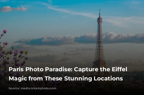 Paris Photo Paradise: Capture the Eiffel Tower's Magic from These Stunning Locations