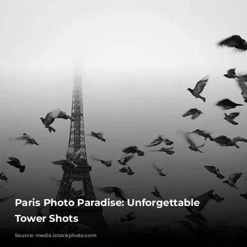 Paris Photo Paradise: Unforgettable Eiffel Tower Shots