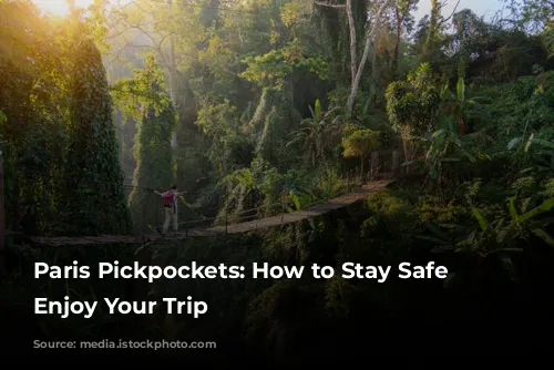 Paris Pickpockets: How to Stay Safe and Enjoy Your Trip