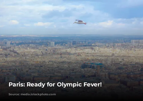 Paris: Ready for Olympic Fever!