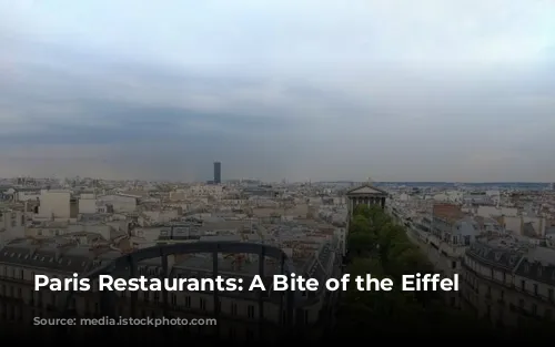 Paris Restaurants: A Bite of the Eiffel Tower