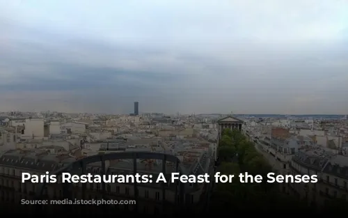 Paris Restaurants: A Feast for the Senses