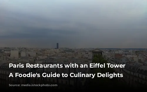 Paris Restaurants with an Eiffel Tower View: A Foodie's Guide to Culinary Delights