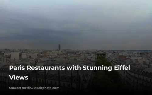 Paris Restaurants with Stunning Eiffel Tower Views