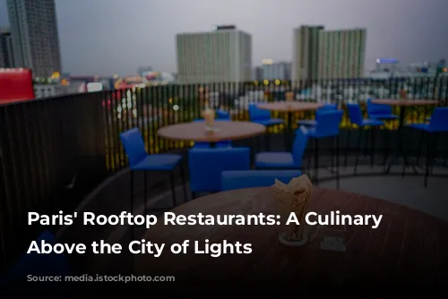 Paris' Rooftop Restaurants: A Culinary Journey Above the City of Lights