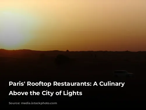 Paris' Rooftop Restaurants: A Culinary Journey Above the City of Lights