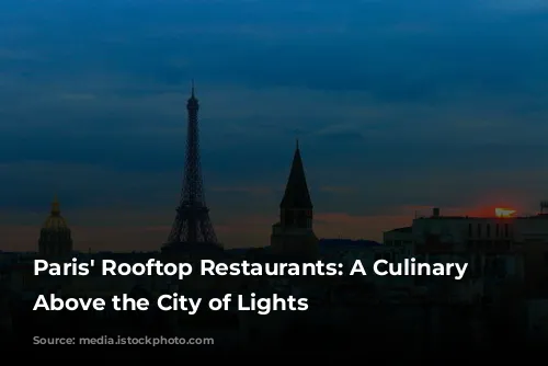 Paris' Rooftop Restaurants: A Culinary Journey Above the City of Lights