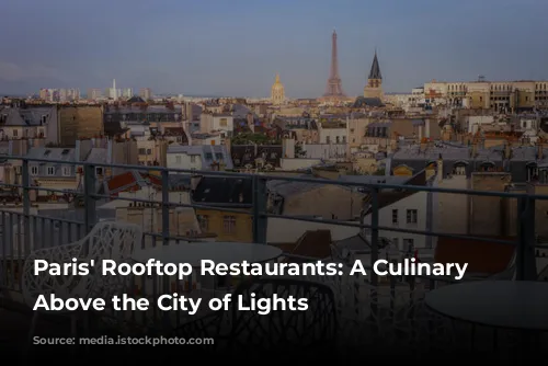 Paris' Rooftop Restaurants: A Culinary Journey Above the City of Lights