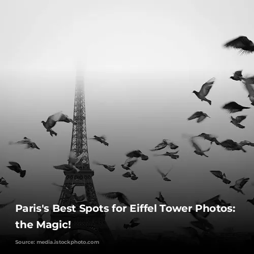 Paris's Best Spots for Eiffel Tower Photos: Capture the Magic!