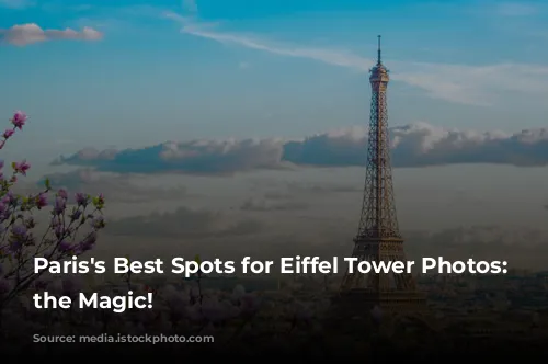 Paris's Best Spots for Eiffel Tower Photos: Capture the Magic!